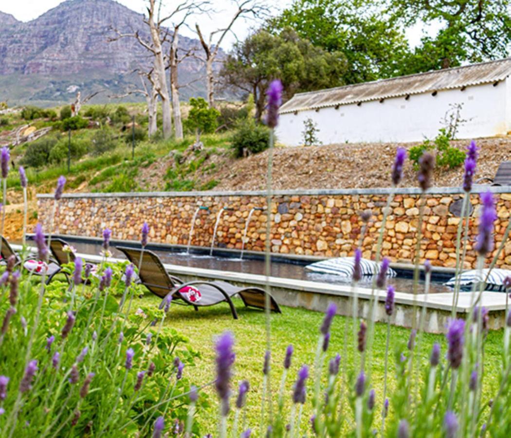 Plaisir Estate Accommodation Simondium Extérieur photo